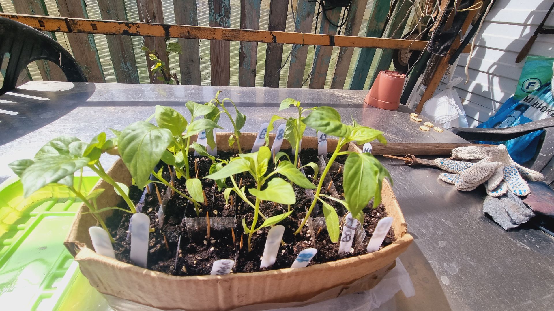 Подмосковье, Ивантеевка, благоустройство