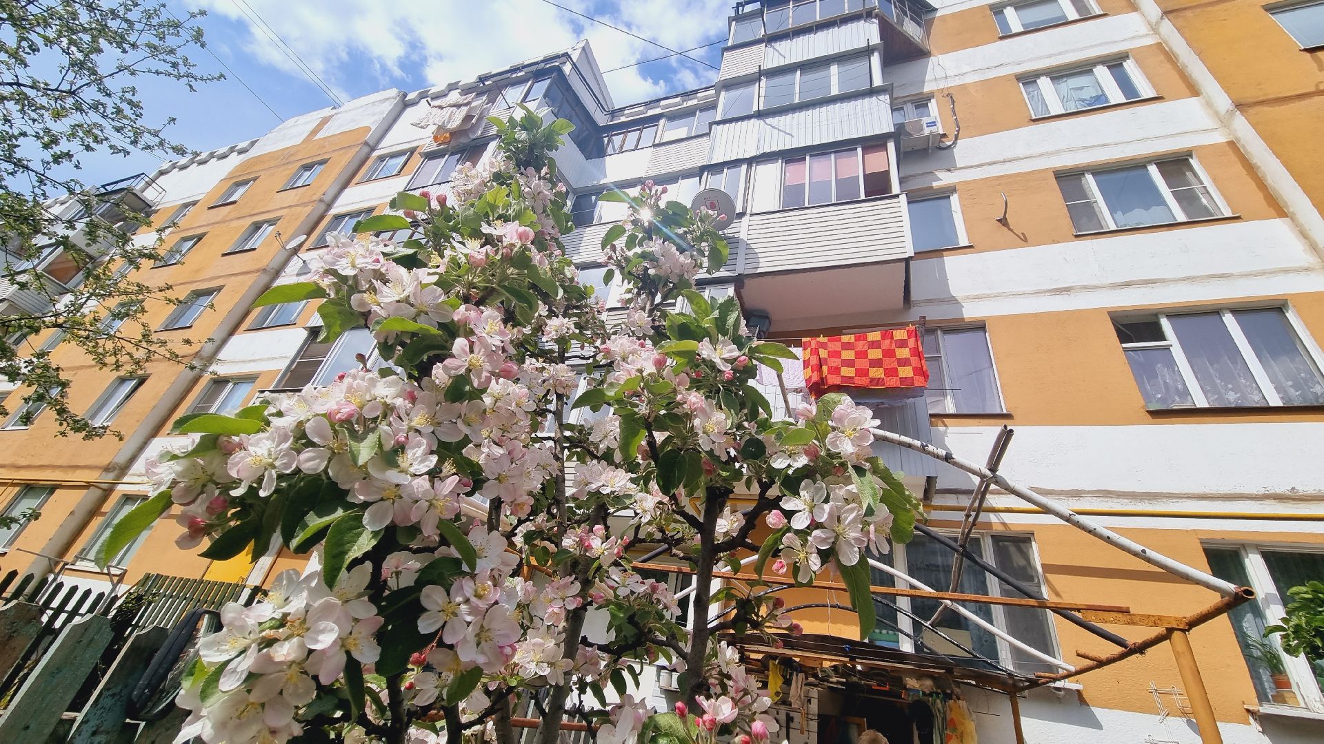 Подмосковье, Ивантеевка, благоустройство