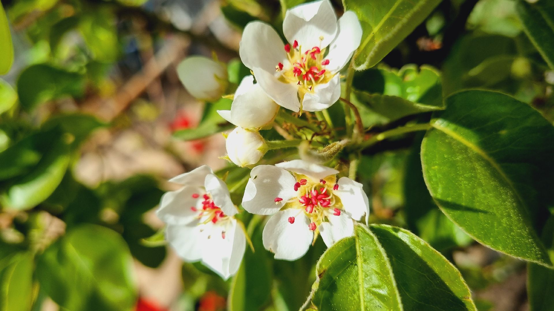Подмосковье, Ивантеевка, благоустройство