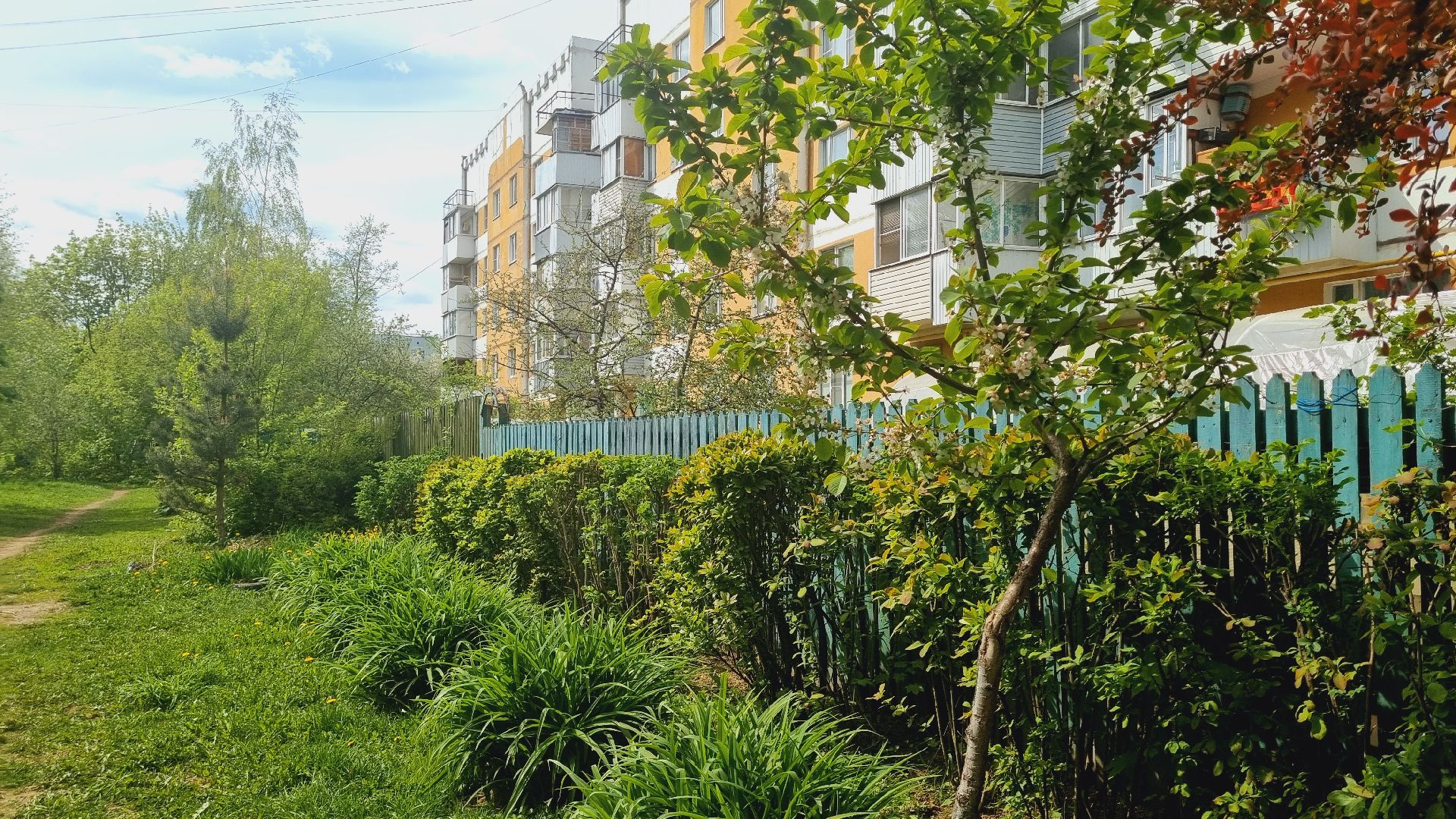 Подмосковье, Ивантеевка, благоустройство