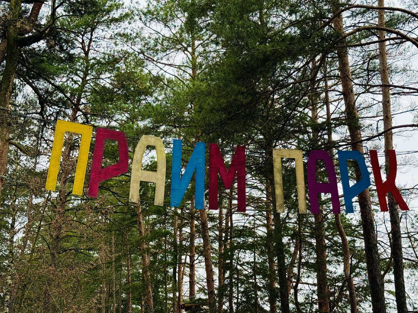 Раменское , Киношкола ,киноискусство, дополнительное образование,