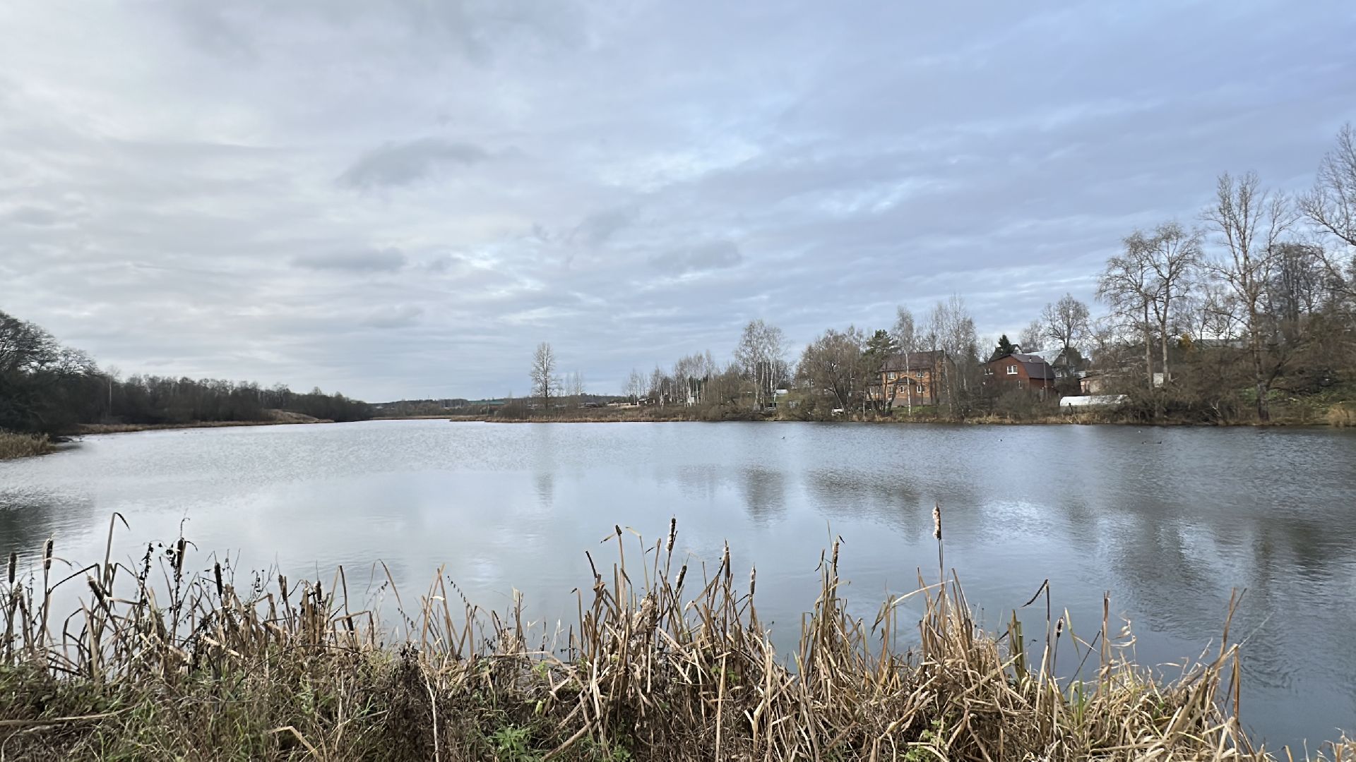 пушкинский городской округ, софрино, Софринское водохранилище, 100 прудов и озер, расчистка пруда, экология,