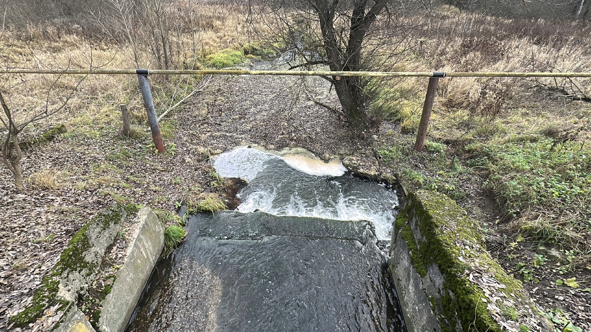 пушкинский городской округ, софрино, Софринское водохранилище, 100 прудов и озер, расчистка пруда, экология,