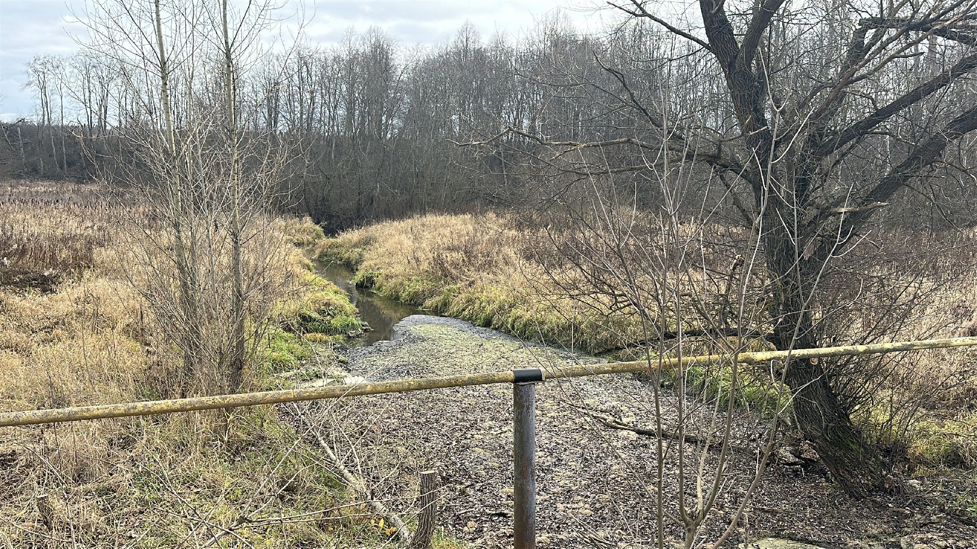 пушкинский городской округ, софрино, Софринское водохранилище, 100 прудов и озер, расчистка пруда, экология,