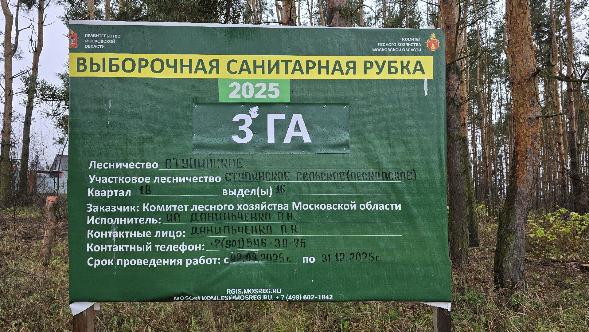 Коломна, санитарная рубка леса,