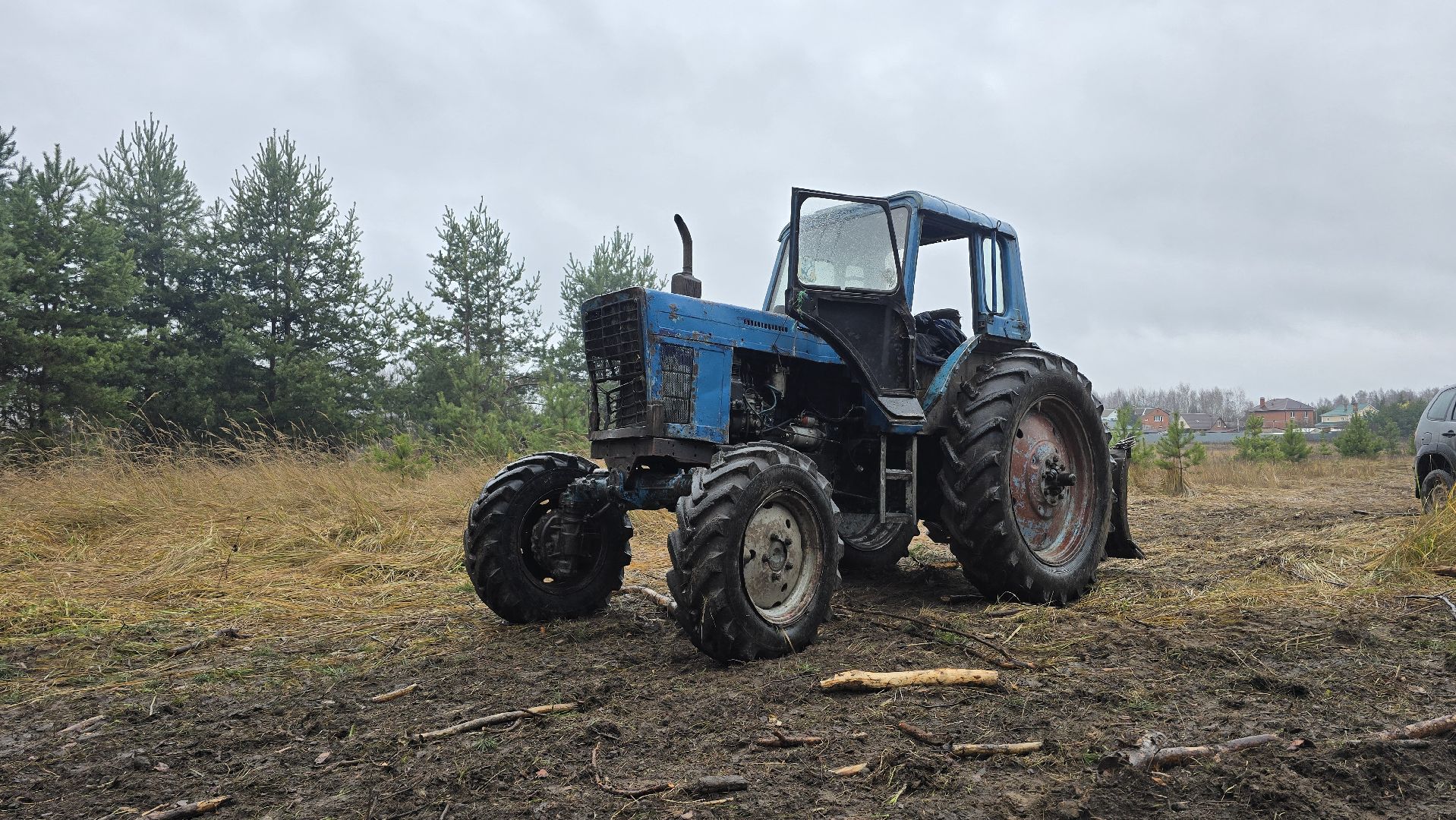 Коломна, санитарная рубка леса,