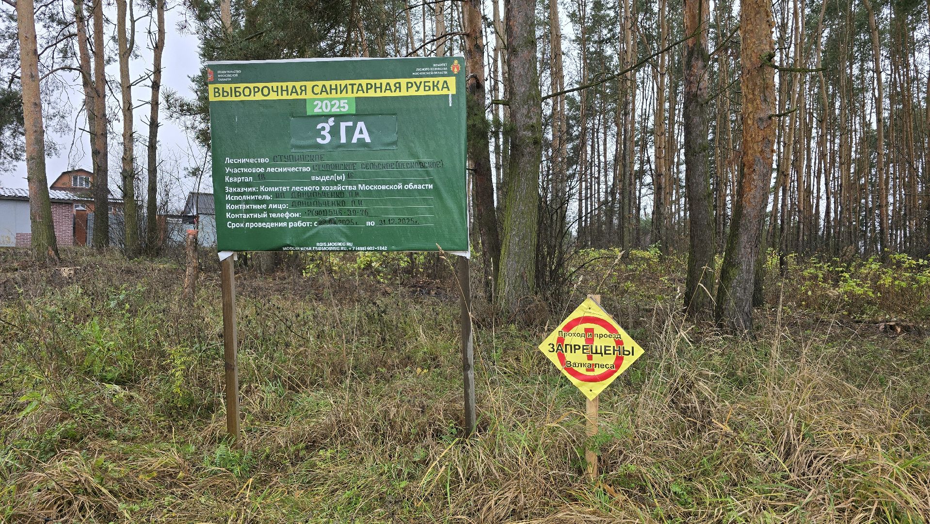 Коломна, санитарная рубка леса,