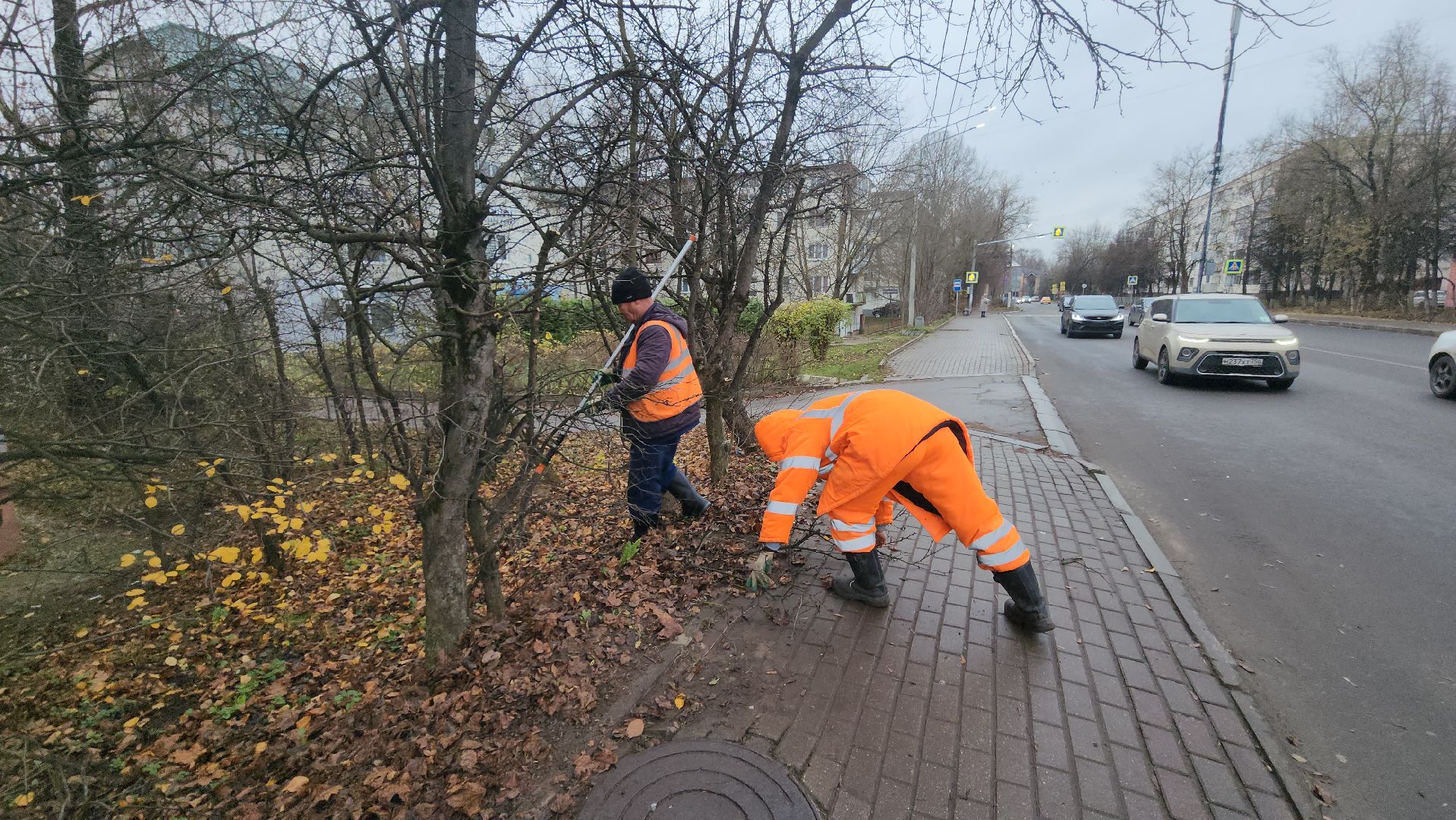 Истра, Спил веток , Благоустройство ,