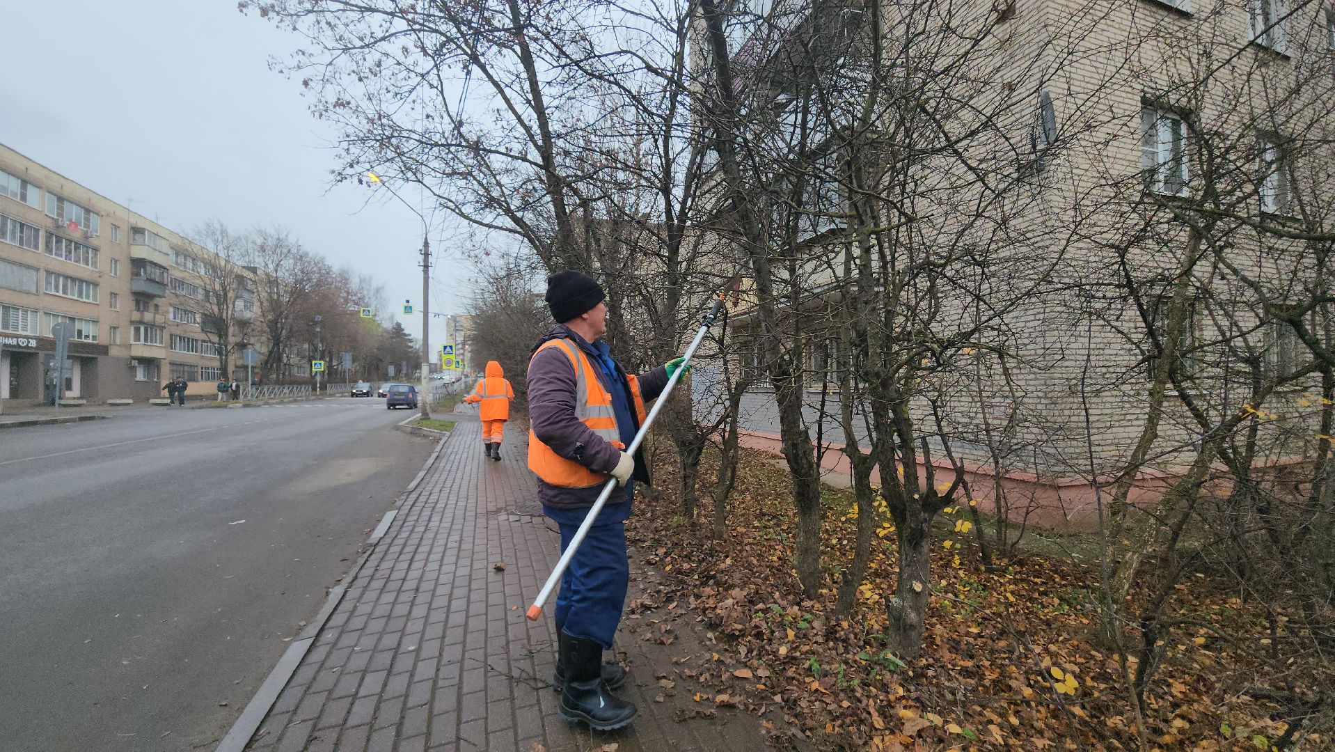 Истра, Спил веток , Благоустройство ,