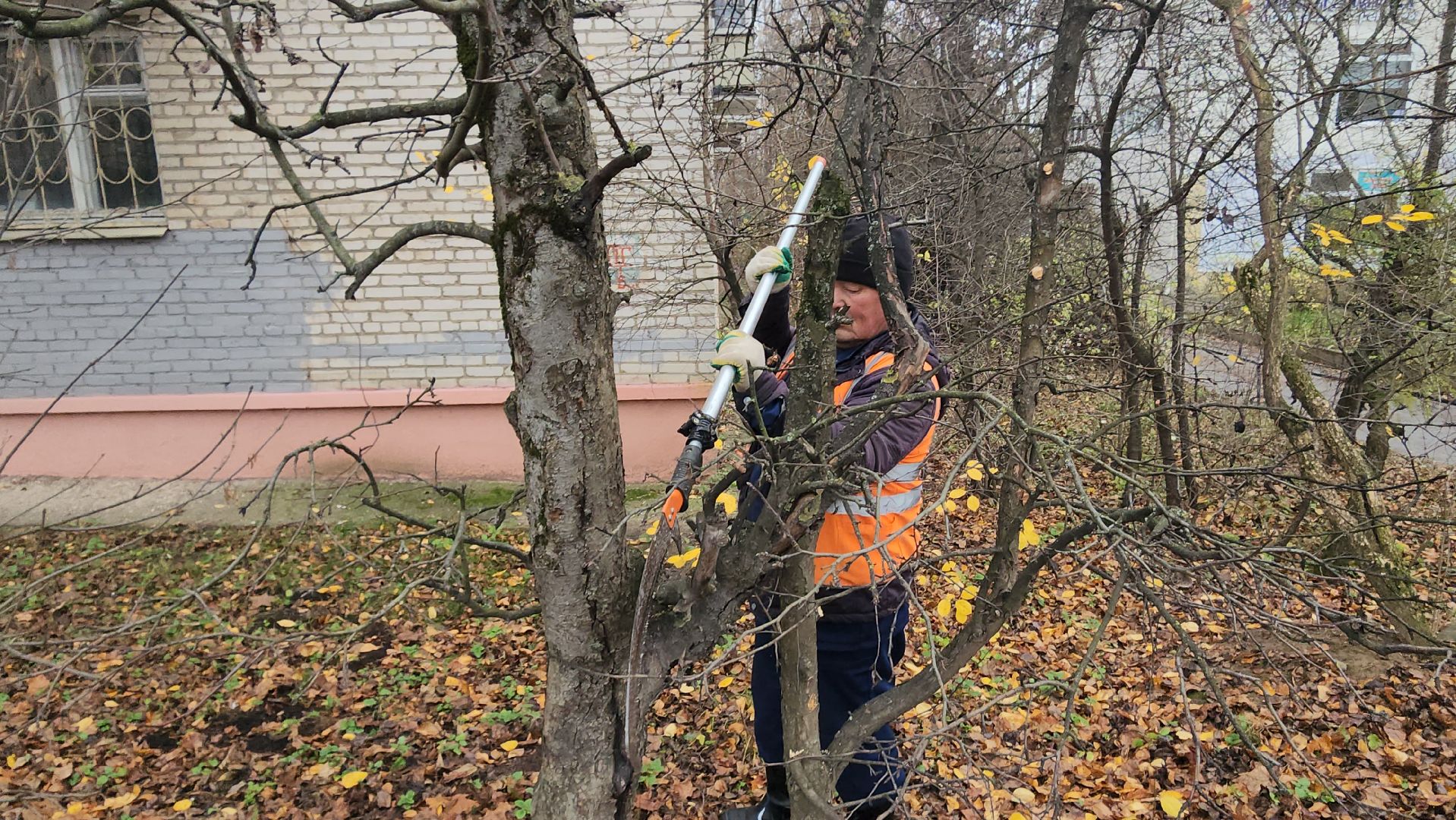 Истра, Спил веток , Благоустройство ,