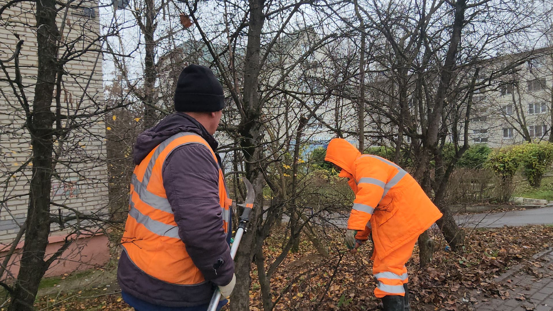 Истра, Спил веток , Благоустройство ,