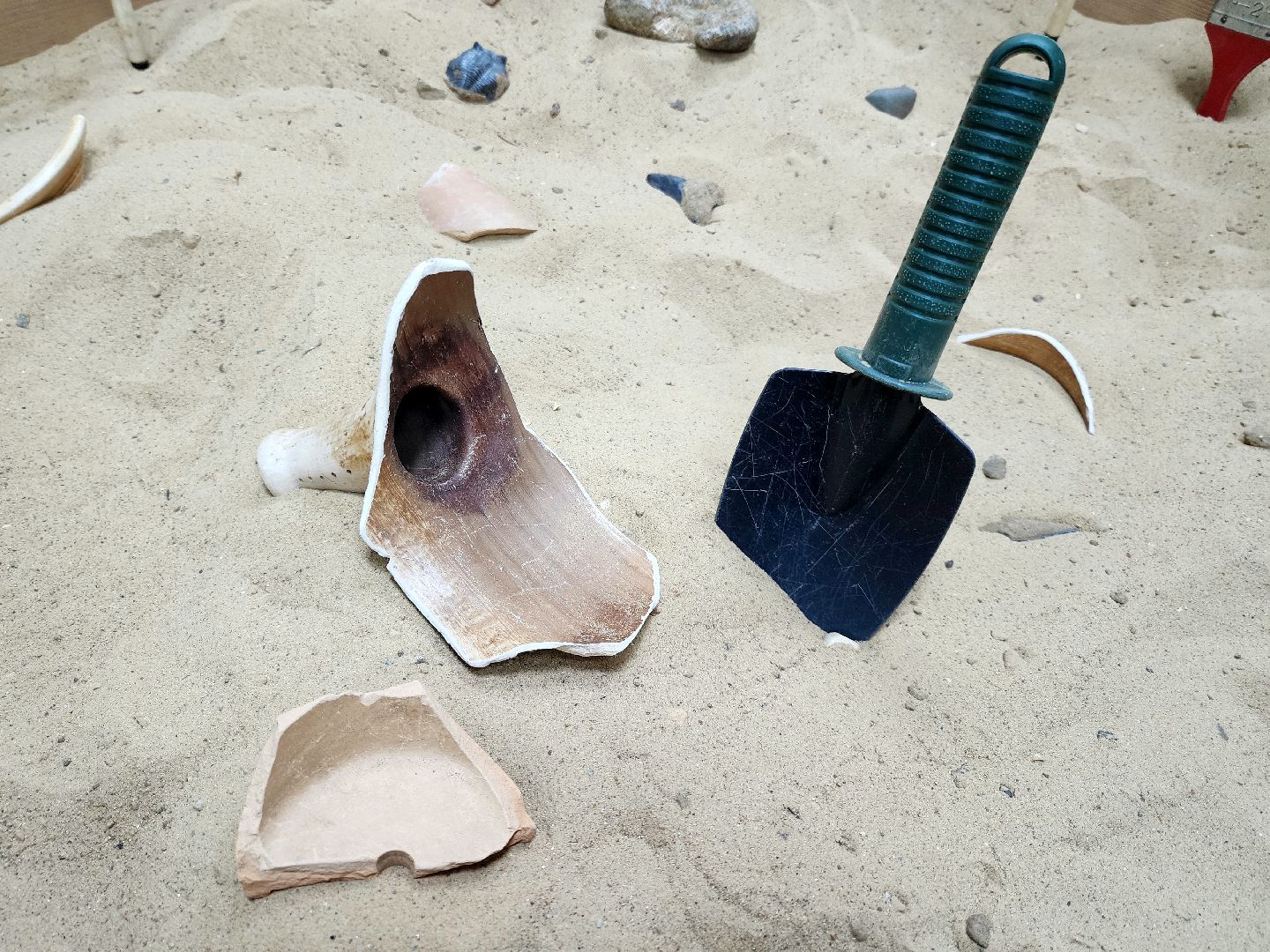 солнечногорск, музей, история, археология,