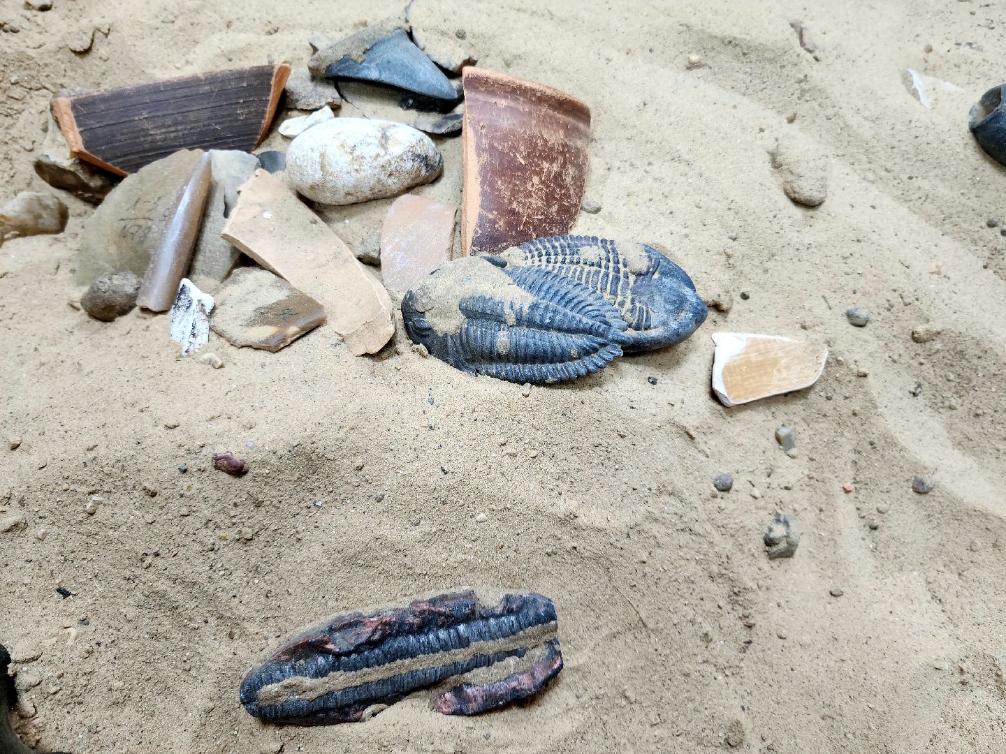 солнечногорск, музей, история, археология,