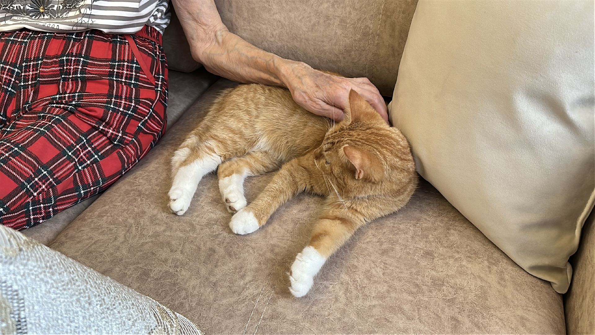 пушкинский городской округ, пушкино, переселенец из аварийного жилья, программа переселения из аварийного жилья,