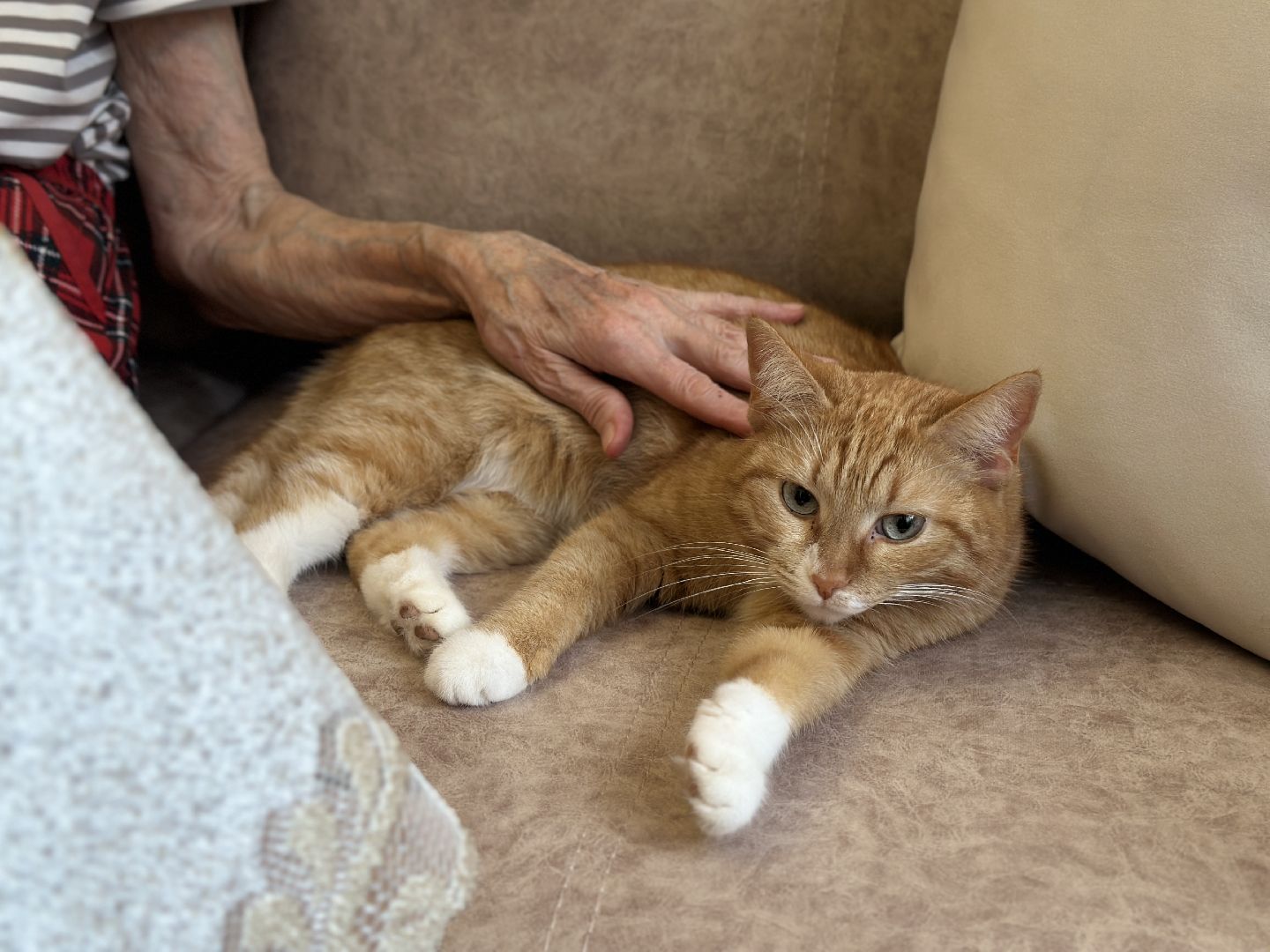 пушкинский городской округ, пушкино, переселенец из аварийного жилья, программа переселения из аварийного жилья,