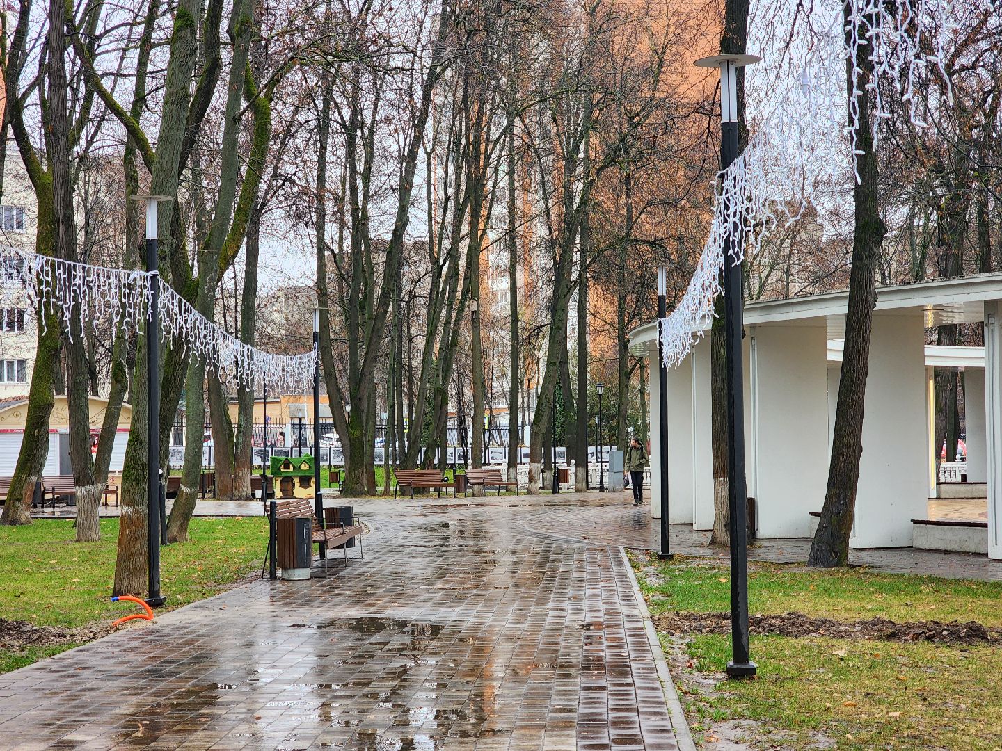 Подольск , Подготовка к зиме, Парк Талалихина ,