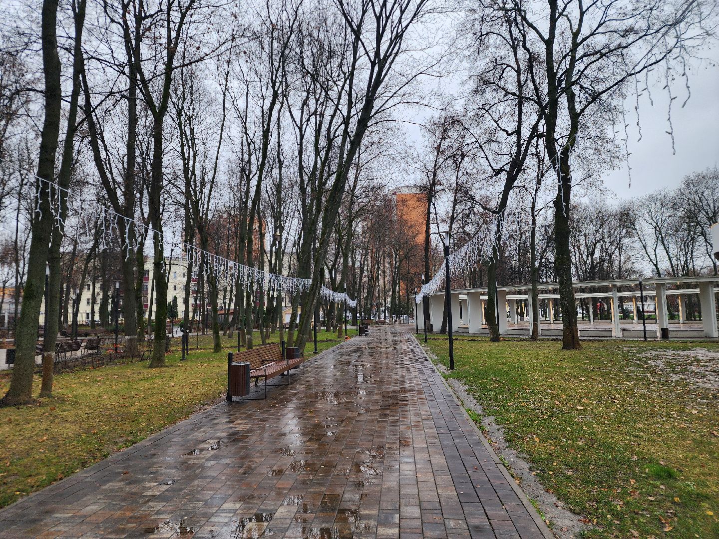 Подольск , Подготовка к зиме, Парк Талалихина ,