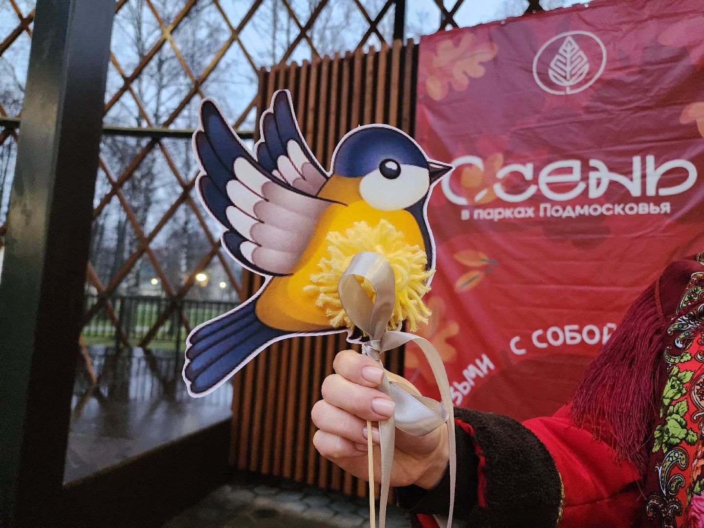 Егорьевск , Подмосковье , Московская область ,