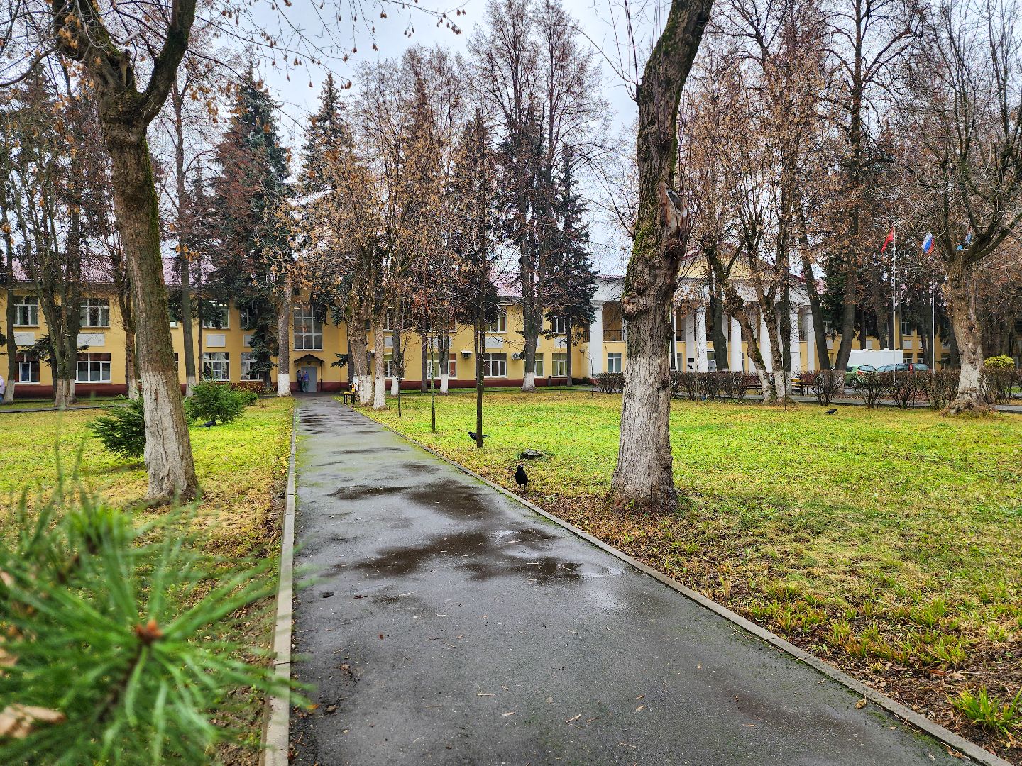 Подольск, покб, лор-врач,Рейтинг,