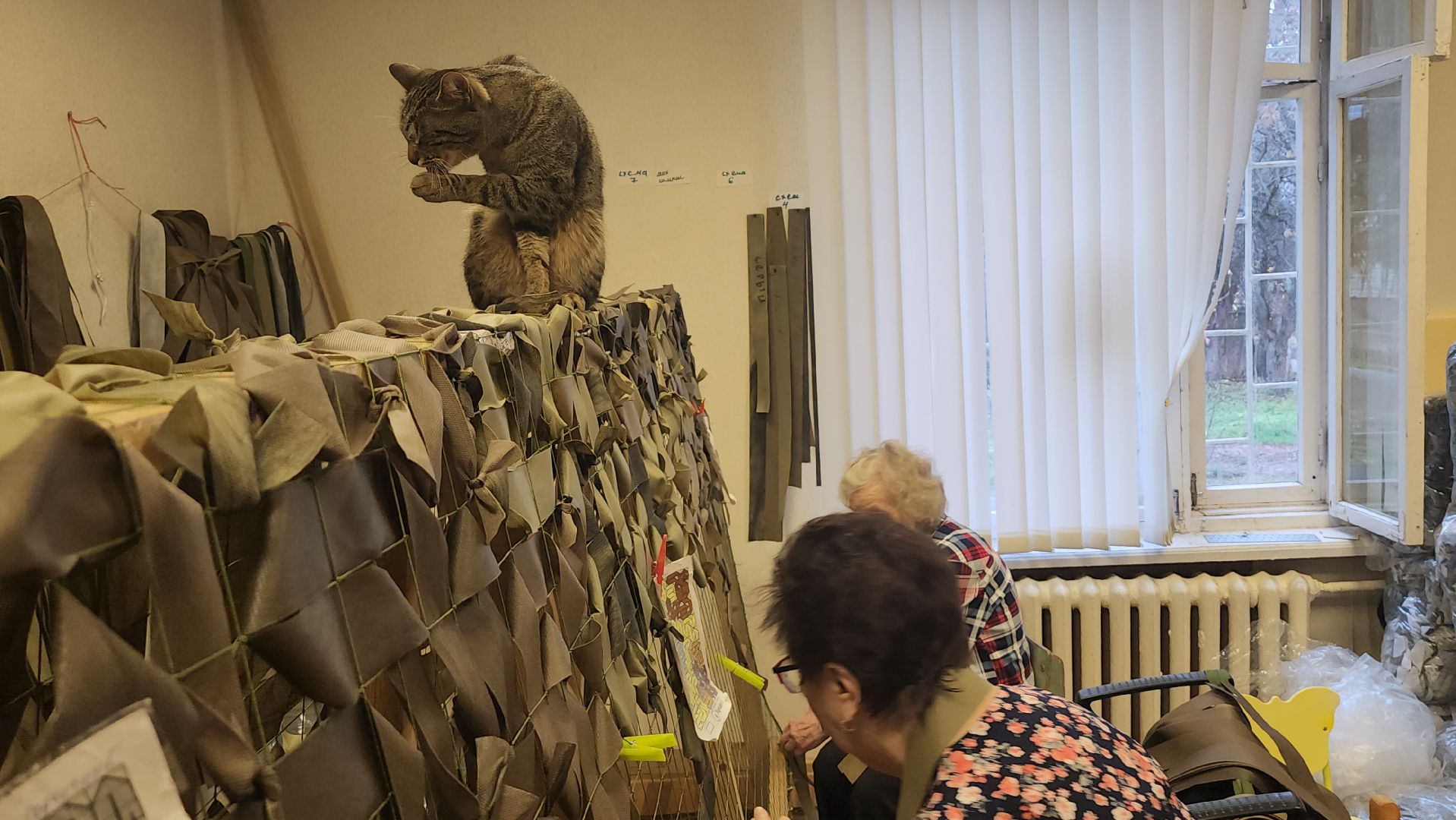 люберцы, поселок октябрьский, волонтеры, своих не бросаем,