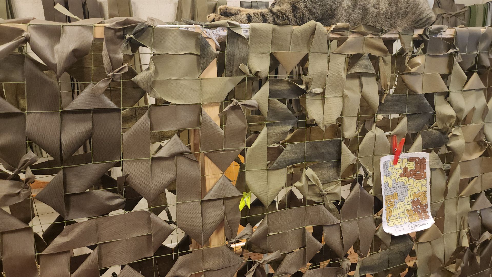 люберцы, поселок октябрьский, волонтеры, своих не бросаем,