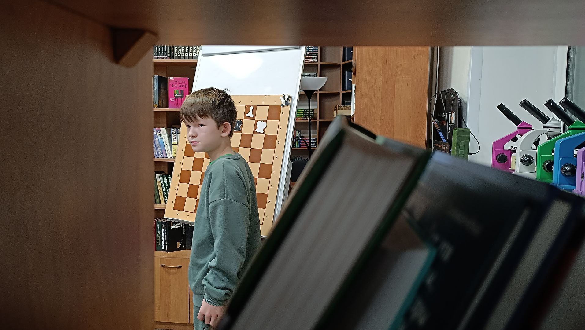 шахматы, лобня, библиотека,