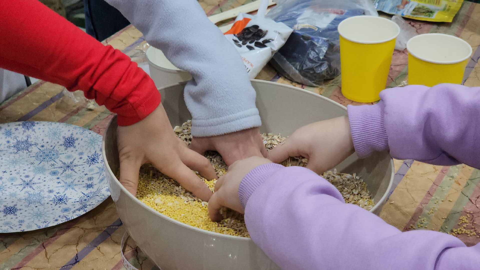 экология, синичкин день, дети, парк, лосино-петровский,
