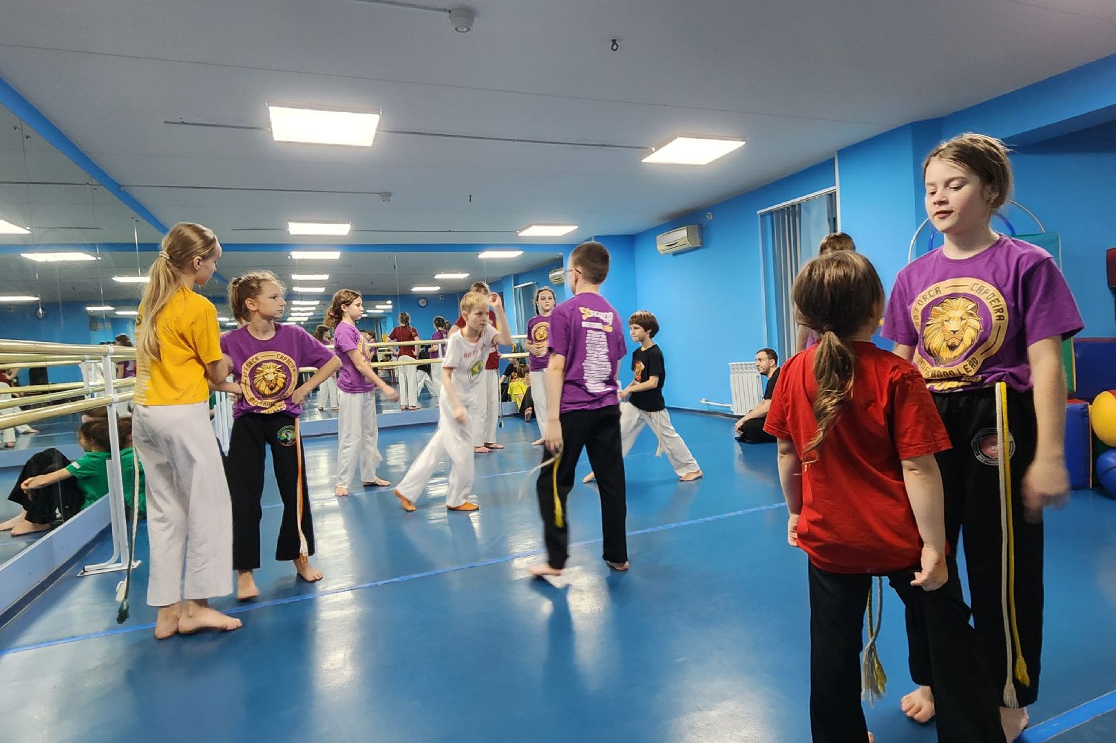 Химки, Спорт, Капоэйра,