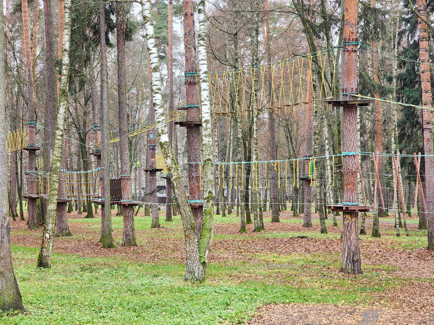 информационный пилон, афиша , городской парк, ногинск, богородский городской округ,