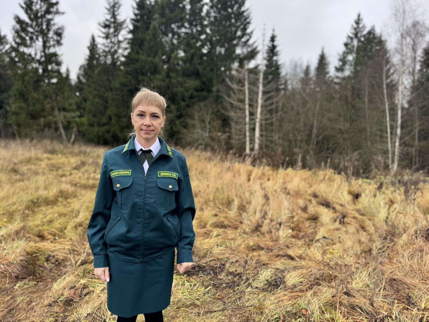 шаховская, санитарная вырубка леса, лесничество,