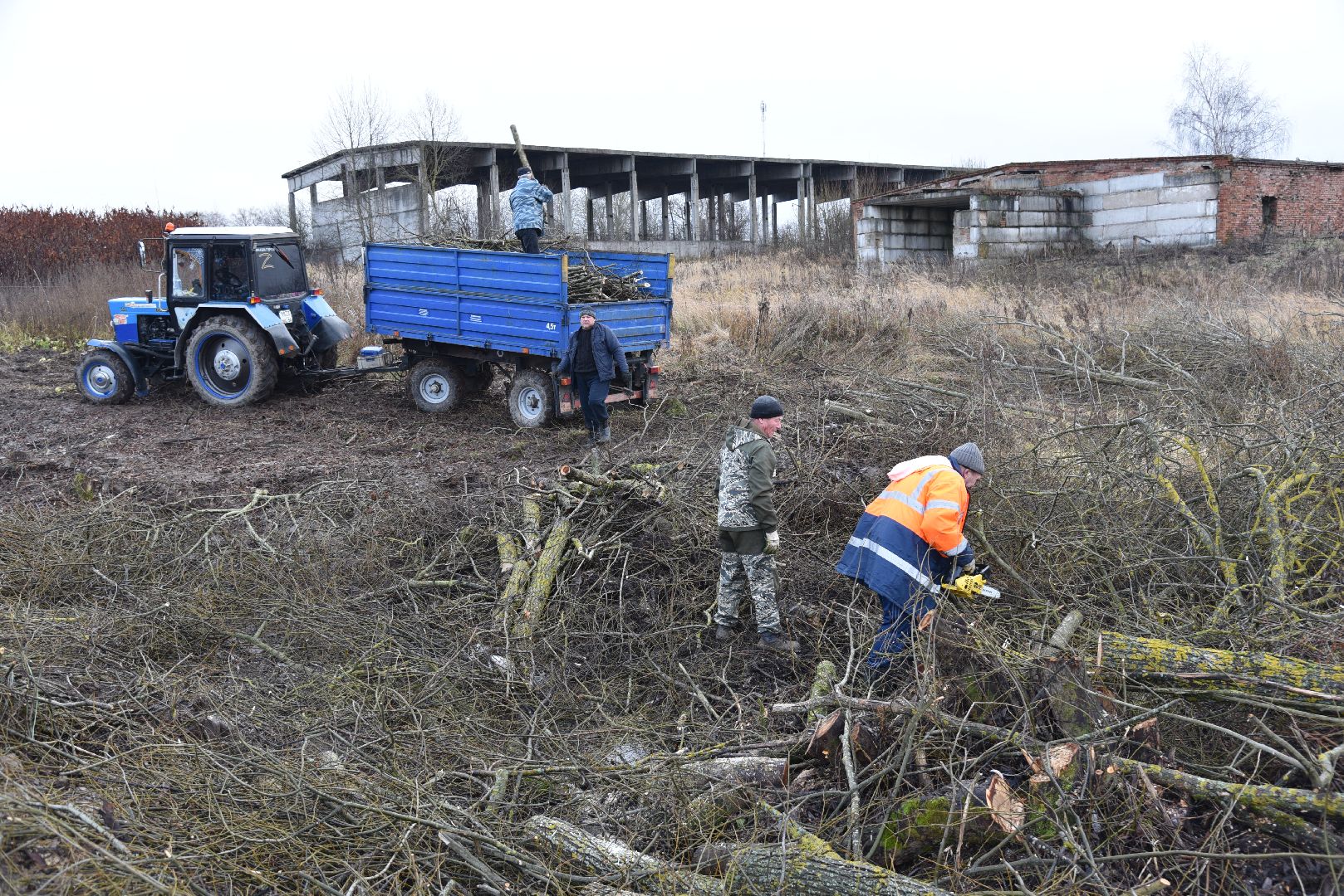 лотошино, калицино, благоустройство, населенный пункт воинской доблести, стела,