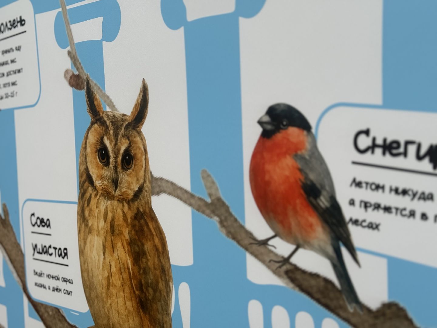 синичкин день, съедобные кормушки, музей заповедник горки ленинские, ленинский городской округ,