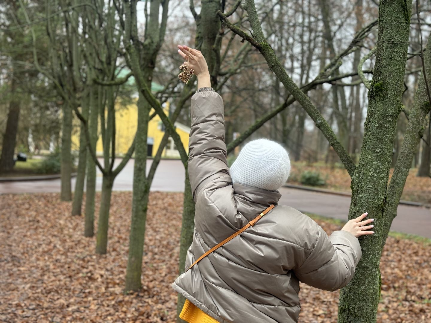 синичкин день, съедобные кормушки, музей заповедник горки ленинские, ленинский городской округ,