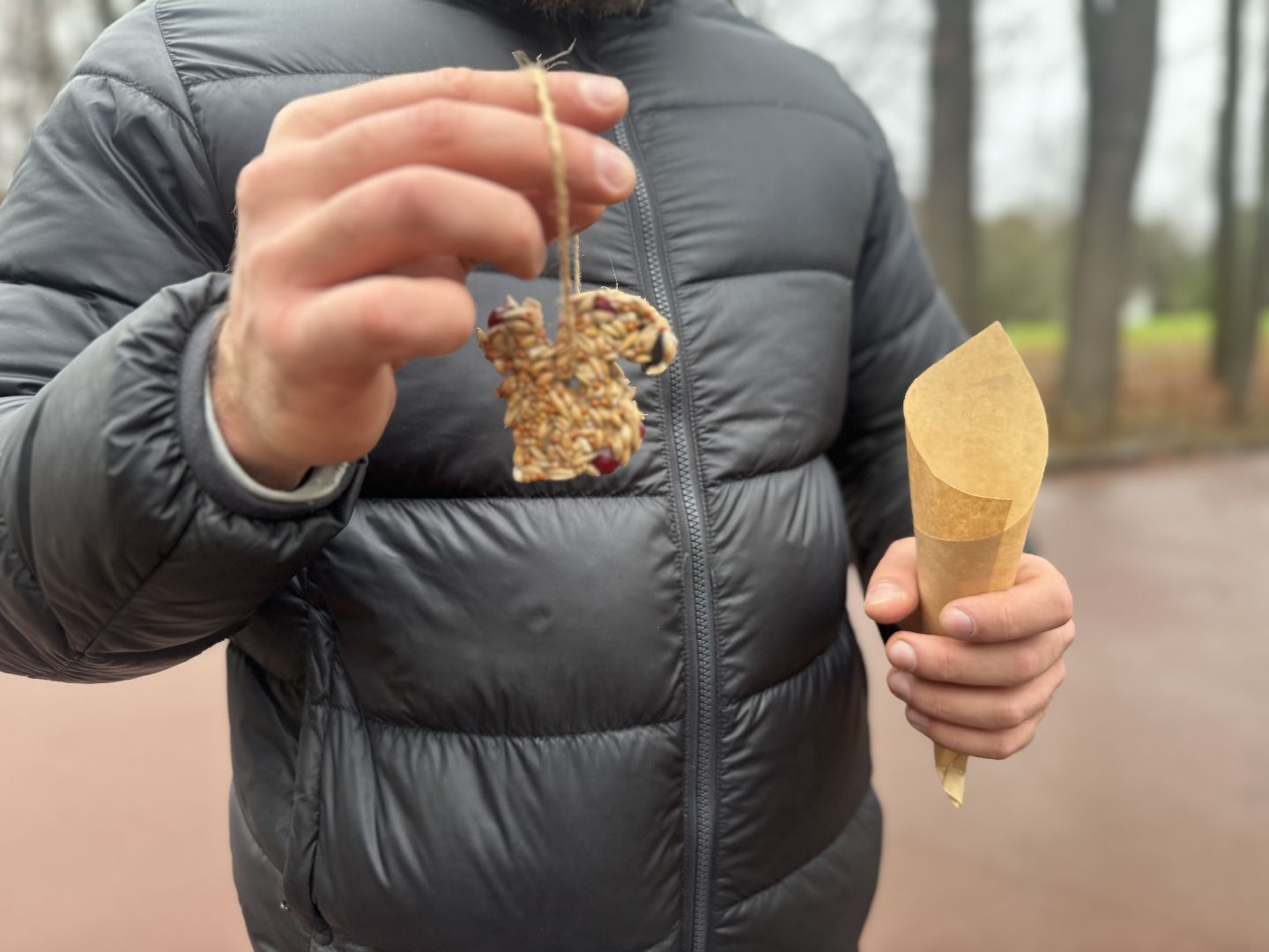 синичкин день, съедобные кормушки, музей заповедник горки ленинские, ленинский городской округ,