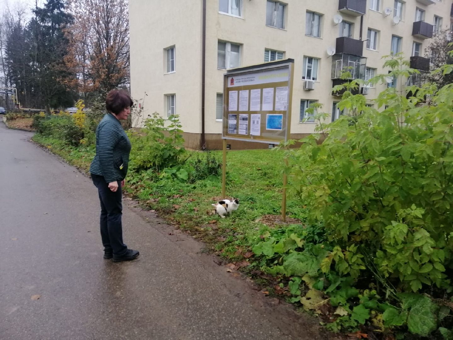 городской округ восход, благоустройство, жкх, информационые стенды,