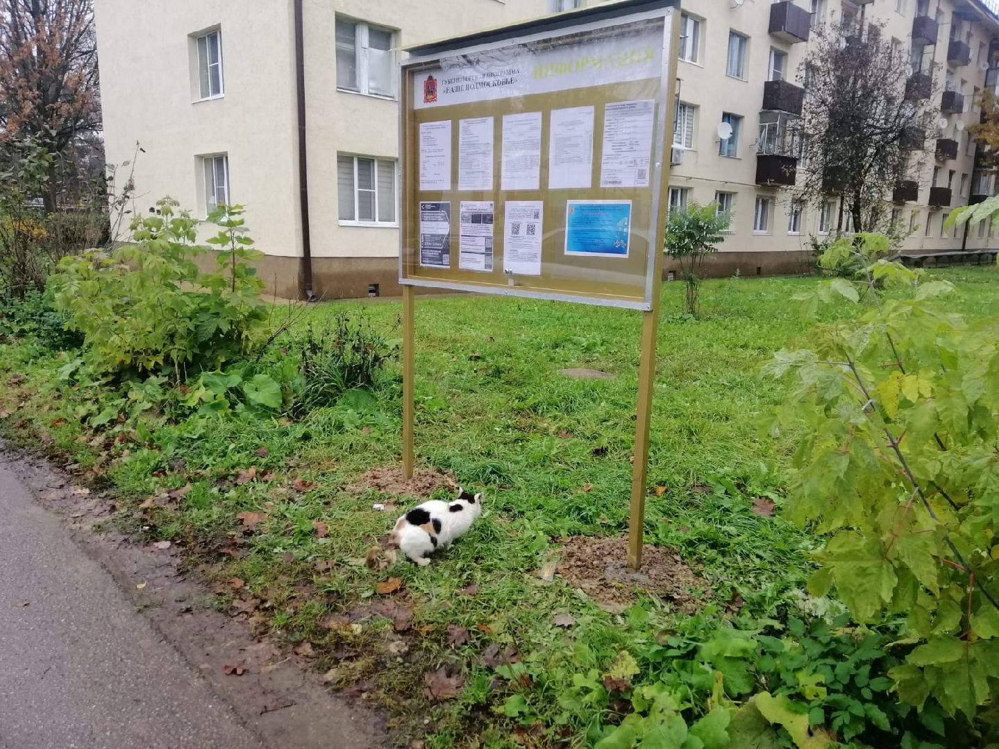 городской округ восход, благоустройство, жкх, информационые стенды,