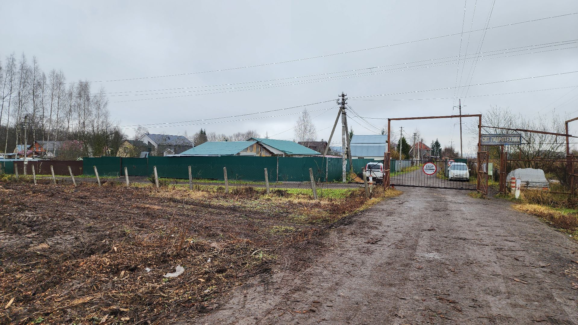 истра, аварийные деревья,