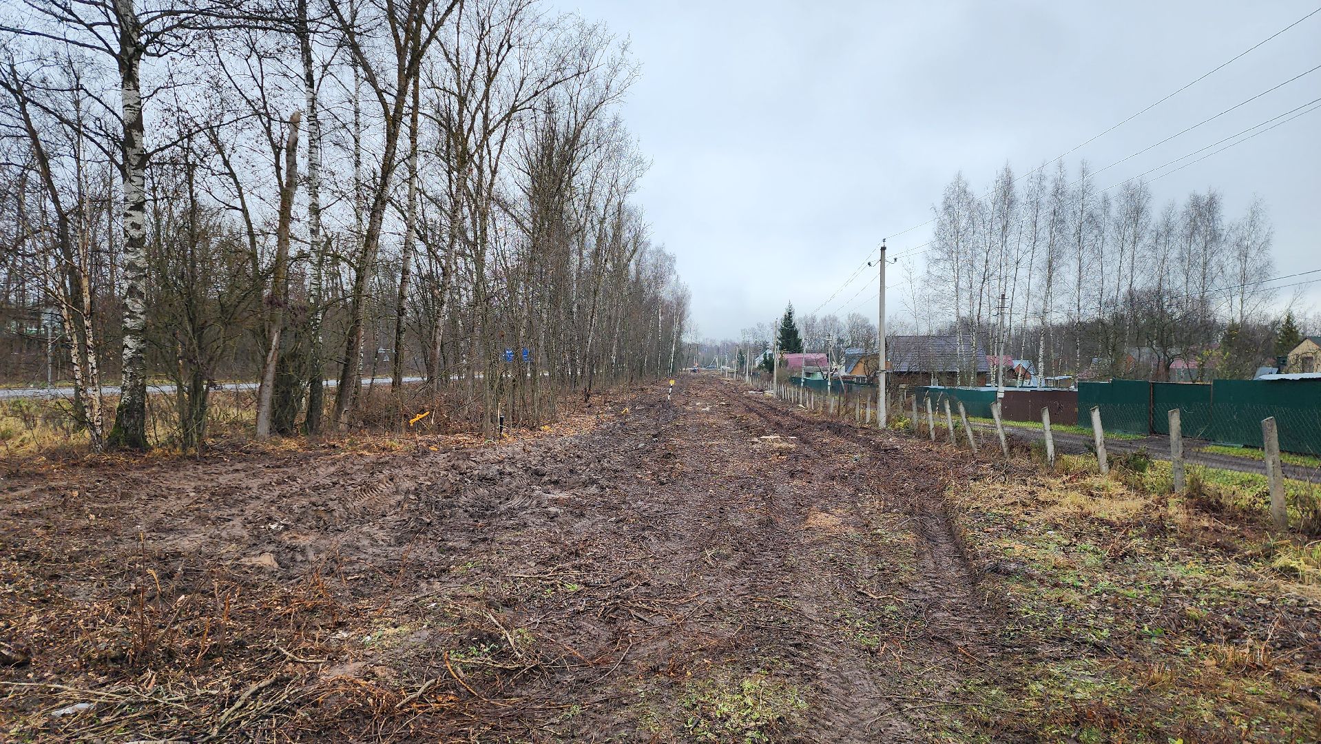 истра, аварийные деревья,