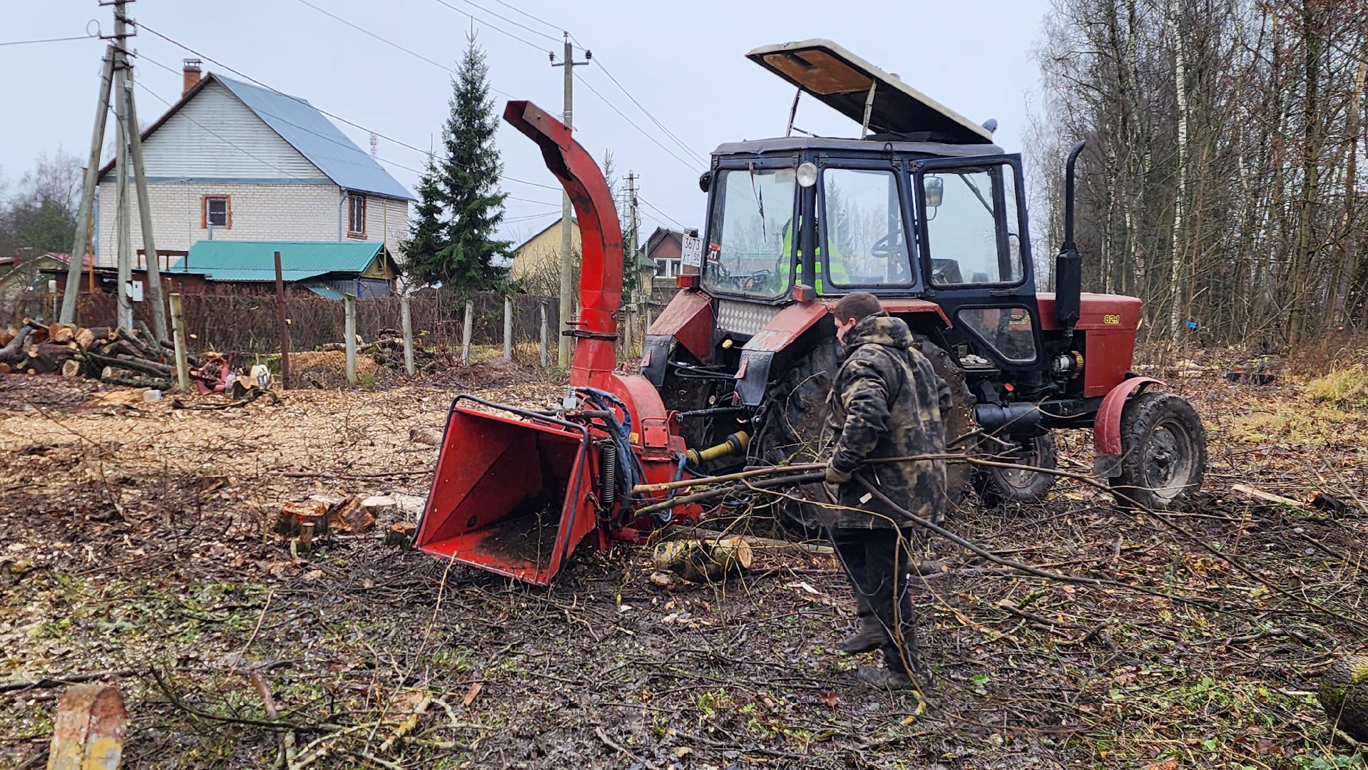 истра, аварийные деревья,