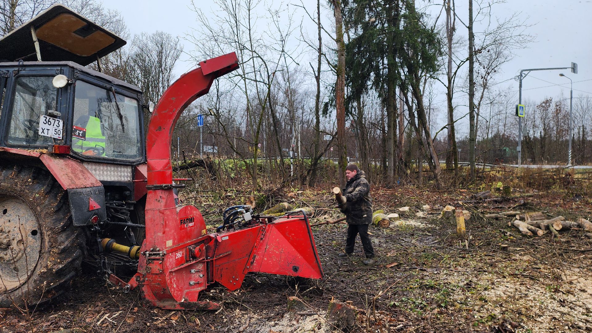 истра, аварийные деревья,