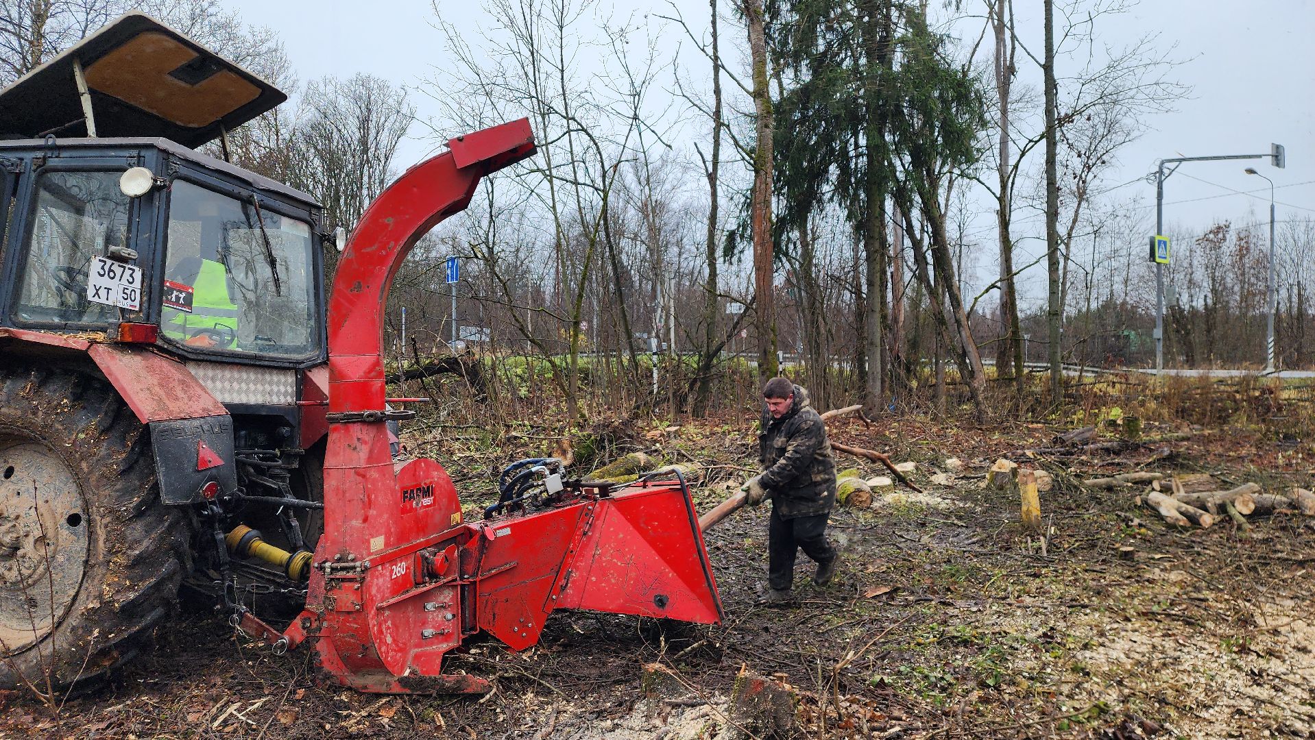 истра, аварийные деревья,