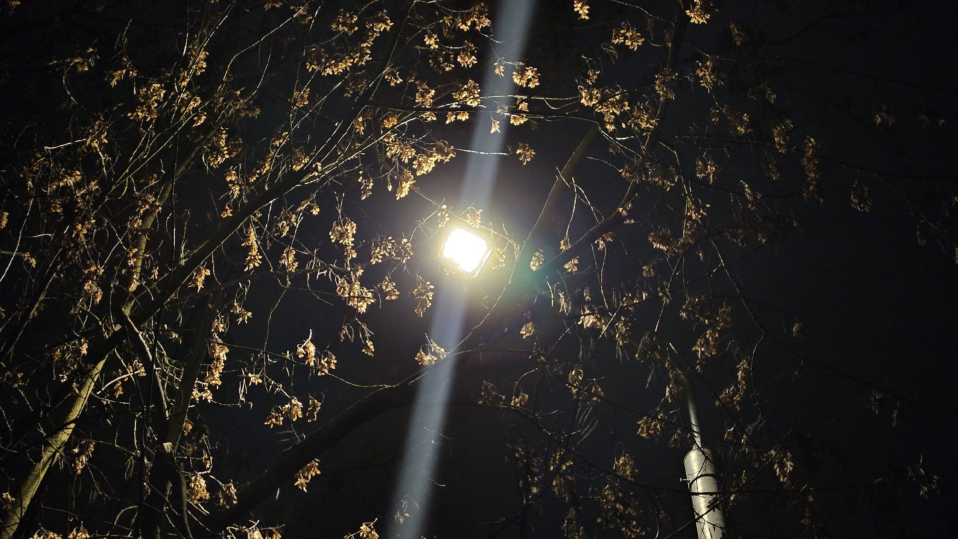 долгопрудный, мбу благоустройство, освещение, освещение улиц, фонари,