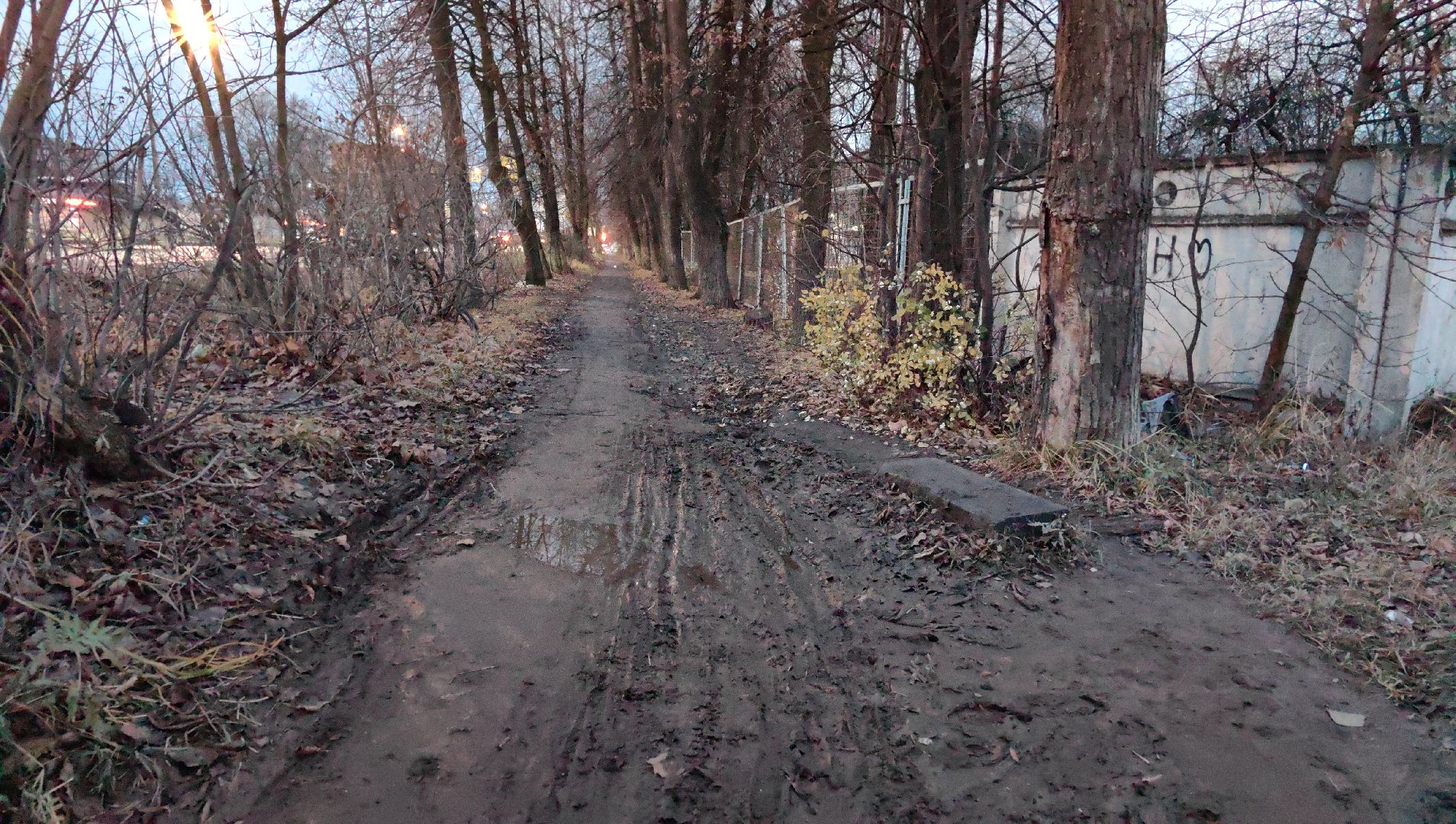 тропа, тротуар, школа, безопасность, администрация, пешеход,