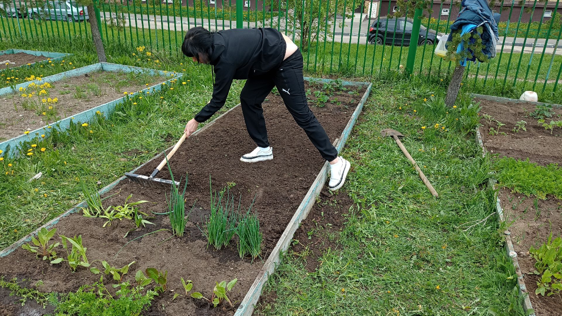 Реутов, детский сад, образование, дошкольники, огород, растения, зелень