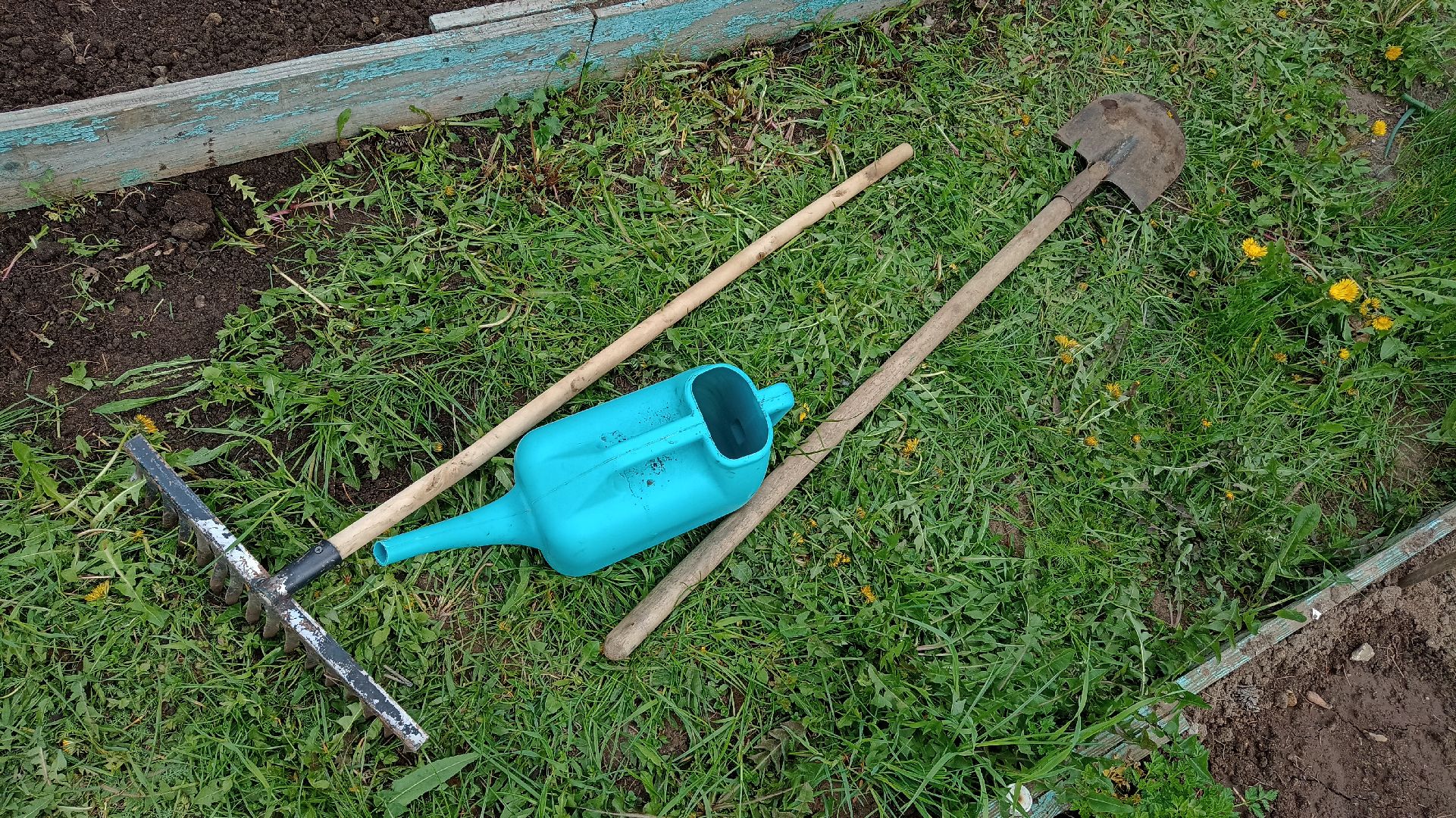 Реутов, детский сад, образование, дошкольники, огород, растения, зелень