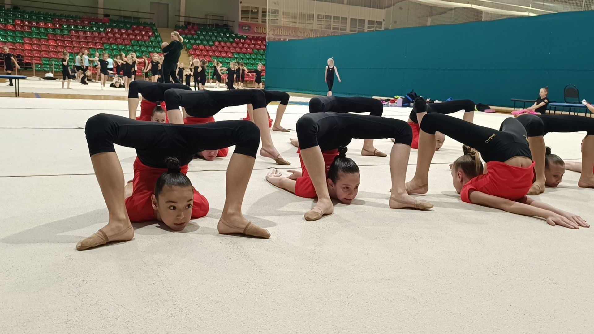 спорт, лобня, эстетическая гимнастика,