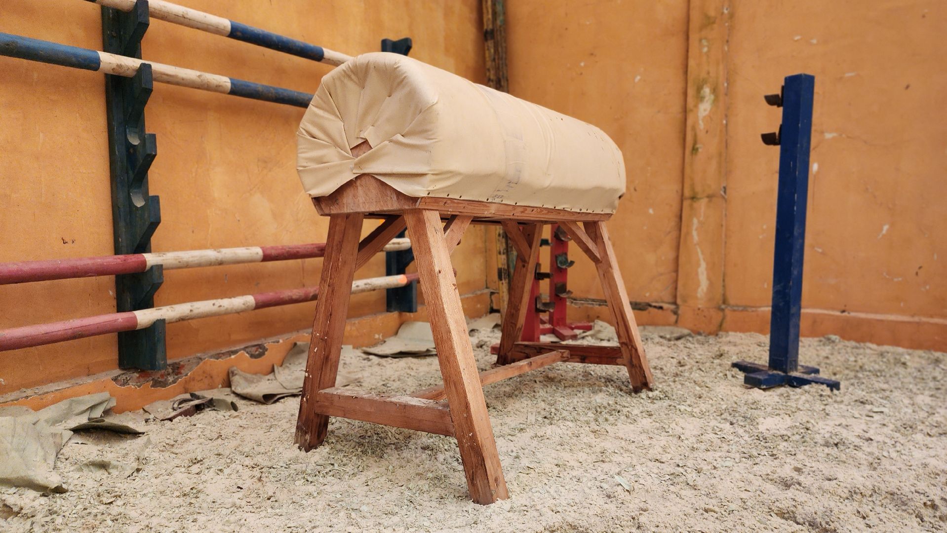 руза, туризм, конный клуб, станица,