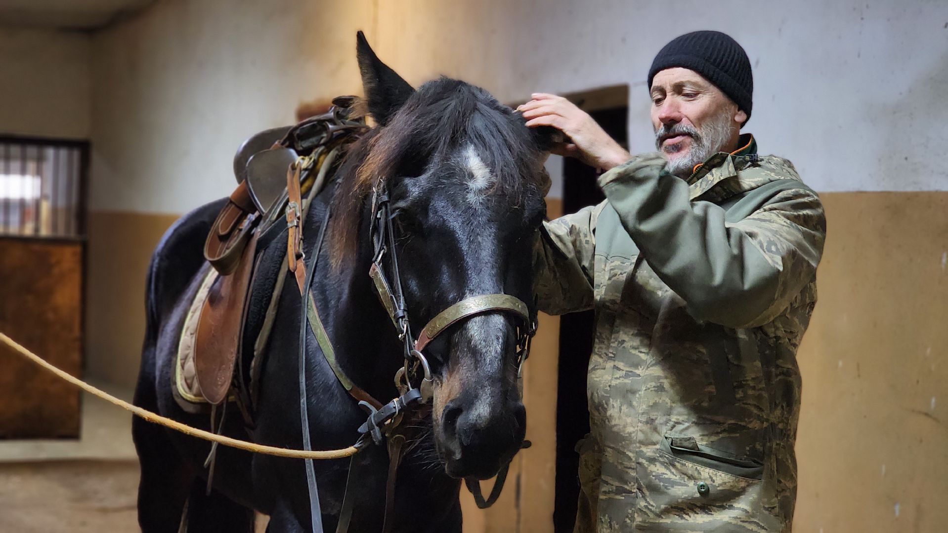 руза, туризм, конный клуб, станица,