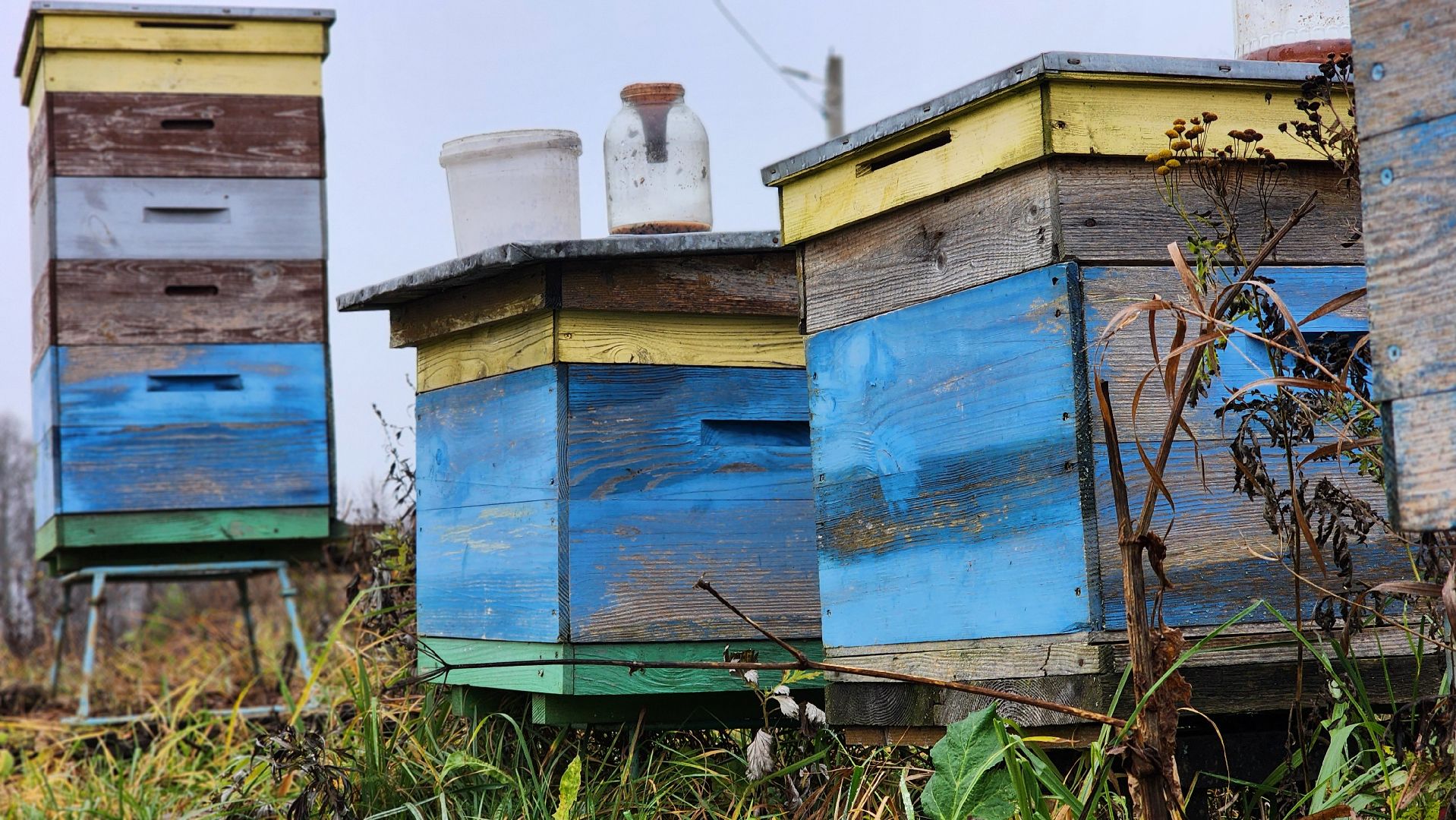 руза, туризм, конный клуб, станица,