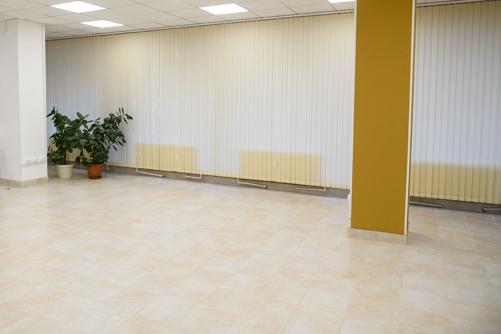 выездная администиация, общество, лыткарино,